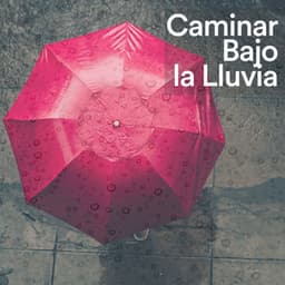 Caminar Bajo la Lluvia - Tromentas Naturales