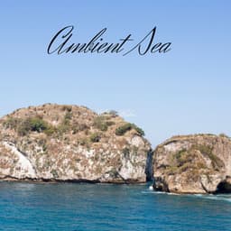 Ambient Sea - Rain Hard