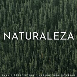 Naturaleza: Lluvia Terapéutica Y Música Para Estudiar - Lluvia Soundzzz Club