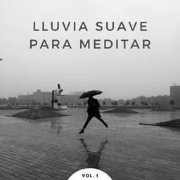 Lluvia Suave Para Meditar Vol. 1 - Sonidos de hombre de lluvia