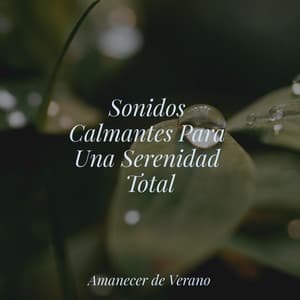 Sonidos Calmantes Para Una Serenidad Total - Yoga Sounds