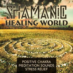 Shamanic Healing World - Positive Chakra, Meditation Sounds, Stress Relief - Xchina