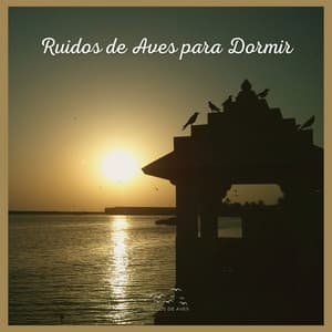Ruidos de Aves para Dormir - Sonidos De Aves