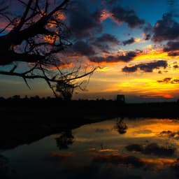 ! ! ! ! Dreaming - Música Relajante