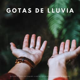 Estudio Con Gotas De Lluvia: Lluvia Académica Binaural - Latidos binaurales para estudiar
