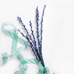 Backdrop for Less Tension - Coffee Table Jazz Radio