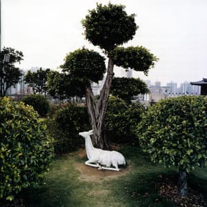 Giants : music for lute and harp - Margret Koell