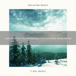 Joyful Christmas Time with Relaxing Tunes and Winter Woods Sounds - The Outdoor Library