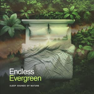 Endless Evergreen - Sleep Sounds of Nature
