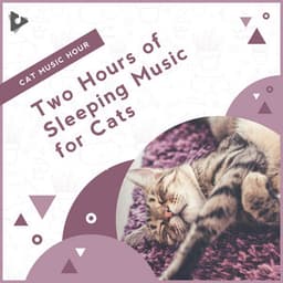 2 Hours of Sleeping Music for Cats - Cat Music Hour
