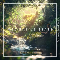 Meditative State: Deepening Your Practice - Fluxus Musicae Zen