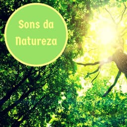 Sons da Natureza - Som do Oceano para Relaxar, Bem-Estar e Serenidade Profunda - Natureza