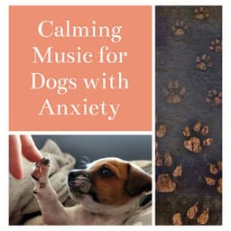 Calming Music for Dogs with Anxiety - Dog Whisper