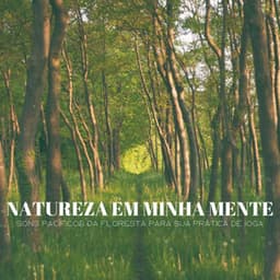 Natureza Em Minha Mente: Sons Pacíficos Da Floresta Para Sua Prática De Ioga - Ruido Blanco