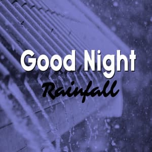 Good Night Rainfall - Bedtime Songs Collective