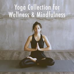Yoga Collection for Wellness & Mindfulness - Relaxation And Meditation