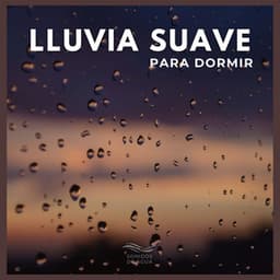 Lluvia Suave Para Dormir - Sonidos De Agua