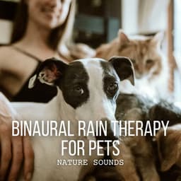 Nature Sounds: Binaural Rain Therapy for Pets - Rain & Thunder