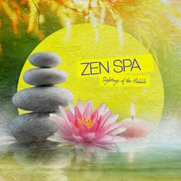 Zen Spa - Sightings of the Hubble