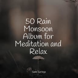 50 Rain Monsoon Album for Meditation and Relax - Meditação Maestro