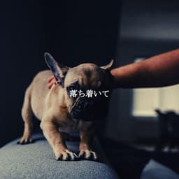 落ち着いて - Chill Out Jazz Dream