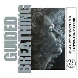 Breath Quadrants: The 4-Stage Serenity Path - Guided Breathing