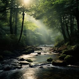 Sleep in Stream's Embrace: Soothing Night Tunes - Sleep Music