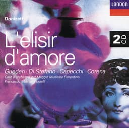 Donizetti: L'Elisir d'Amore - Gaetano Donizetti