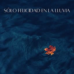Sólo Felicidad En La Lluvia - Lluvia Calmante