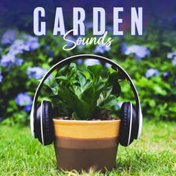 Garden Sounds - Yanna Dream