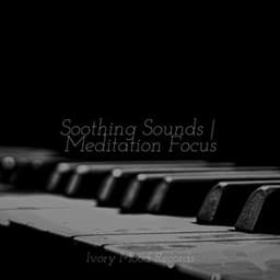 Soothing Sounds | Meditation Focus - Ivory Mood