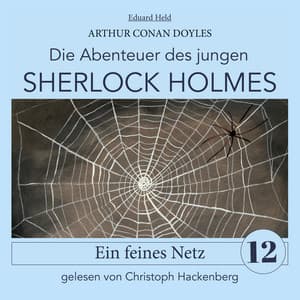 Sherlock Holmes: Ein feines Netz - Der junge Sherlock Holmes