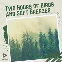 2 Hours of Birds and Soft Breezes - #Calming