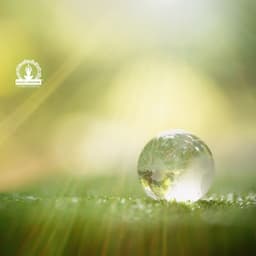 Dia Internacional da Paz - Meditação e Espiritualidade Musica Academia