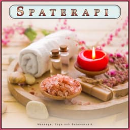 Spa-Terapi: Massage, Yoga og Balancemusik - Spa