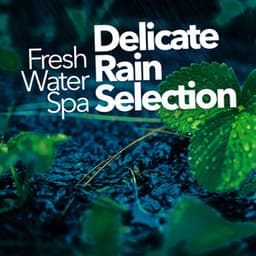 Delicate Rain Selection - Fresh Water Spa