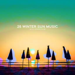 25 Winter Sun Music - Ibiza Lounge Club