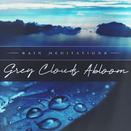 Grey Clouds Abloom - Rain Meditations