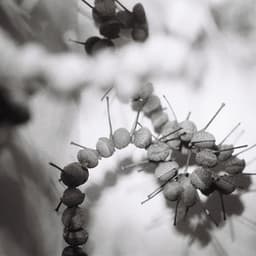 The Knapsack, The Hat, and The Horn - Hein Westgaard