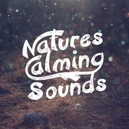 Nature's Calming Sounds - Ambiance nature