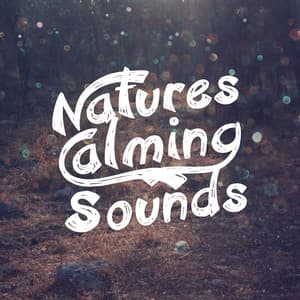 Nature's Calming Sounds - Ambiance nature