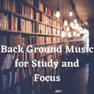 Back Ground Music for Study and Focus - Reading Background Music Playlist