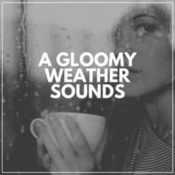 A Gloomy Weather Sounds - Rainfall Meditations