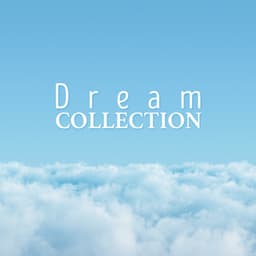 Dream Collection - Lucid Dreaming World-Collective Unconscious Mind