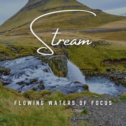 Concentration Streams: Flowing Waters of Focus - American Inhabitants