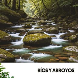 Ríos y Arroyos: Viaje acuático hacia la serenidad - Ruido Blanco Hart