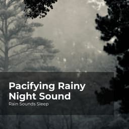 Pacifying Rainy Night Sound - Rain Sounds Sleep