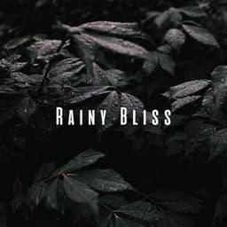 Rainy Bliss: Chill Sound Delights for Relaxation - Rain Sounds & Nature Sounds