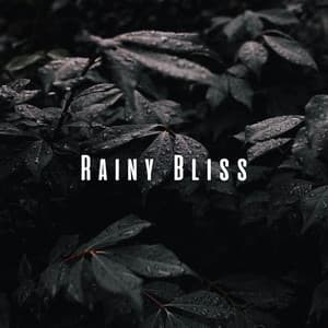 Rainy Bliss: Chill Sound Delights for Relaxation - Rain Sounds & Nature Sounds
