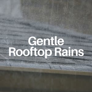 Gentle Rooftop Rains - Nature & Rainforest Sounds Collective